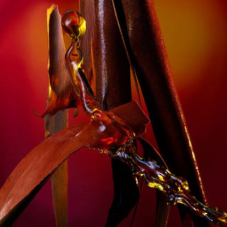 Bvlgari Man In Black Parfum Spray 60 ml