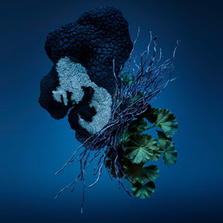 Carolina Herrera Bad Boy Cobalt Eau de Parfum  50 ml