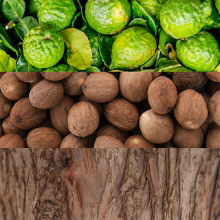 Calvin Klein CK Man Eau de Toilette 100 ml