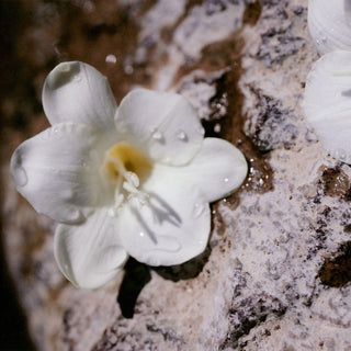 Chloe Nomade Eau de Parfum 30 ml